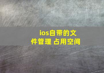 ios自带的文件管理 占用空间